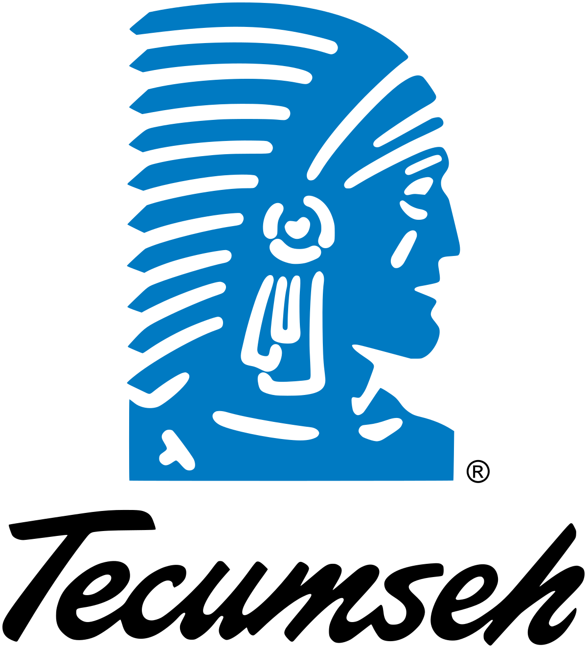 Image of Tecumseh logo